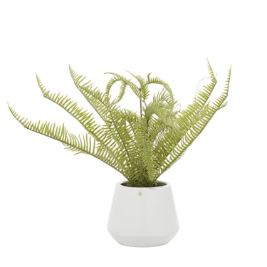 Green Faux Fern with White Ceramic Pot