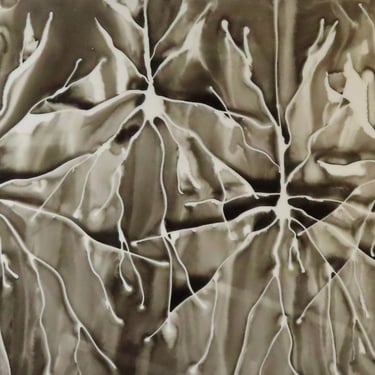 Pyramidal Neurons in Black - original ink painting on yupo of brain cells - neuroscience art 