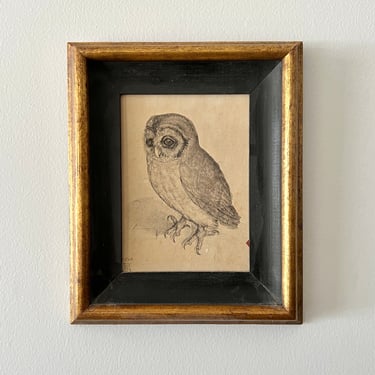Framed Vintage 1950s Owl Print