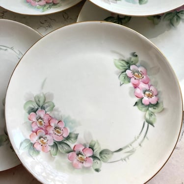 6 Hand Painted Pink Floral Hutschenreuther Selb Bavaria Porcelain Plates by LeChalet