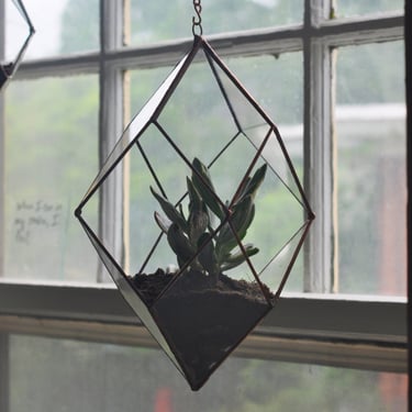 Iridis Terrarium, medium -- for air plant terrarium or small succulent -- stained glass -- terrarium supplies -- eco friendly 