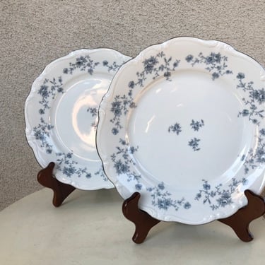 Vintage dinner 10” plates set 2 Blue Garland pattern Johann Haviland Bavaria Germany 