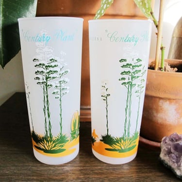 Vintage Blakely Oil Cactus Drinking Glasses Set of 2 - 50s Frosted High Ball Tumblers - Arizona Century Plant Glasses - Vintage Barware 