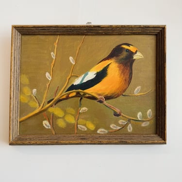 Evening Grosbeak Bird Painting