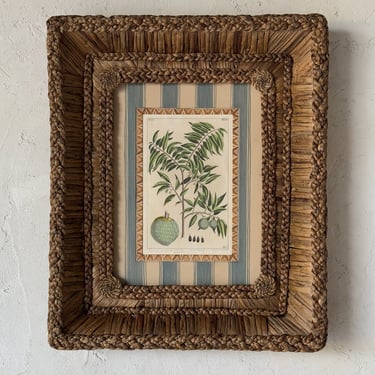 Gusto Woven Frame with 19th C. Rumpf Engraving VII