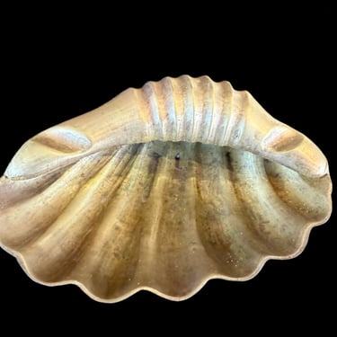 Shell Jewlery and Ring Holder