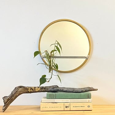 Small Circle Mirror Plant Propagator Test Tube Vase Handmade 10" Round Wall Mirror Modern Brass Frame House Plant Cutting Flower Propagation 