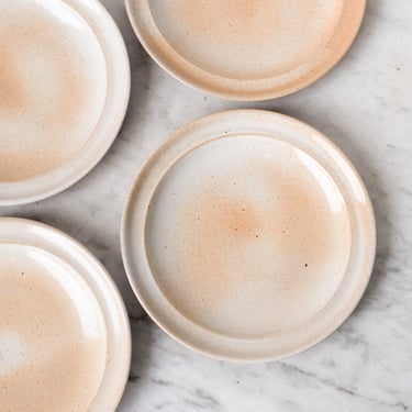 Gres du Marais Stoneware Plate Set of 5