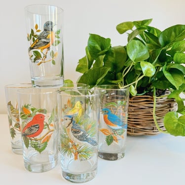 Set of 6 Bird Glasses