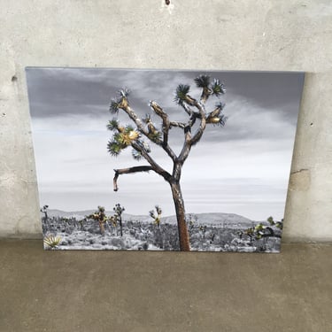 Joshua Tree Art