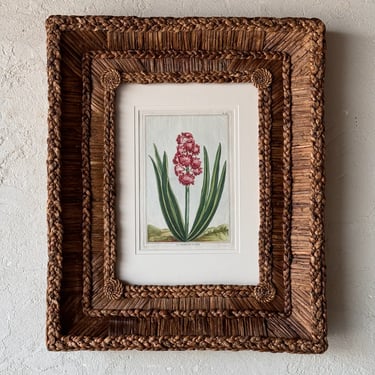 Gusto Woven Frame with 18th C. Dr. Buchoz Botanical Engraving of La Cramoisie Royale