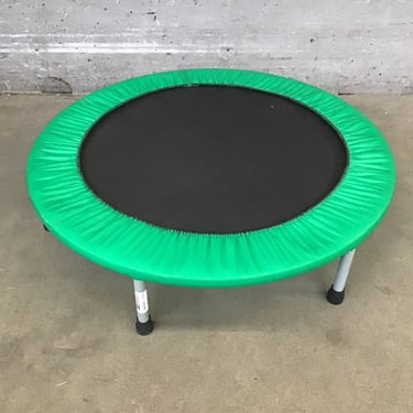 Mini Trampoline (Seattle)