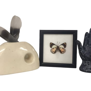 Vintage Real Butterfly Framed Taxidermy Display Specimen Art 