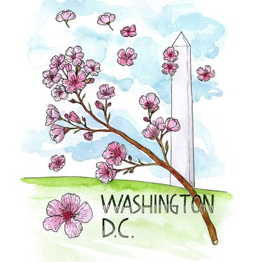 Washington, D.C. Monument and Cherry Blossoms Watercolor Art Print