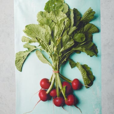 EarthJoy  Farm Radishes Tea Towel