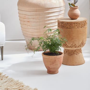Fleur Terracotta Pot