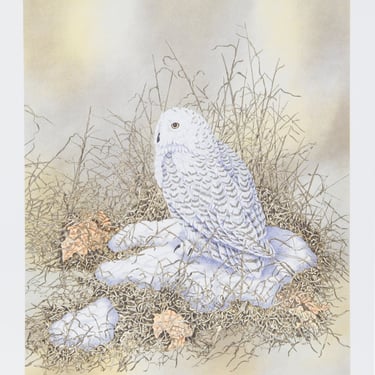 Snowy Owl by Christ Forrest, Lithograph, 1980 