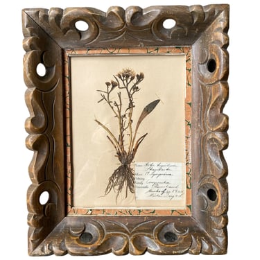 Herbarium in Artisian Made Frame