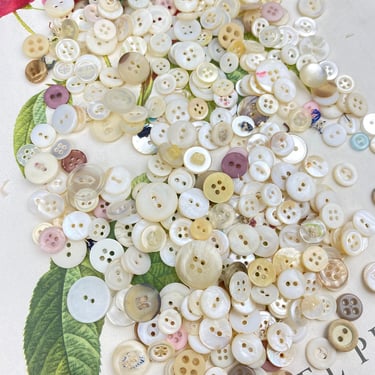 Assortment of Plastic Buttons 100+ 