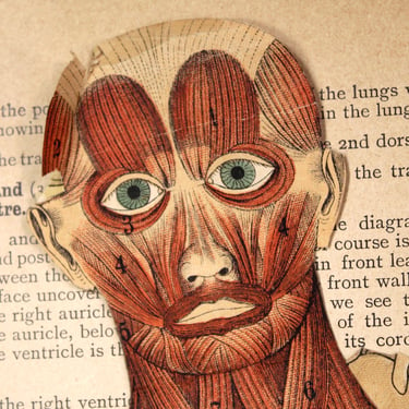 The Human Body by Owen Lancaster, M.R.C.S. | 1892 Antique Anatomy Book | Gorgeous Goth Science Diagrams 