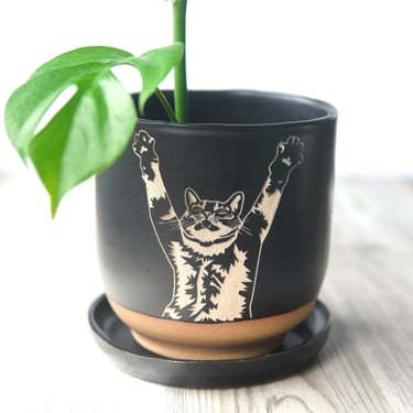 Stretch Cat Planter - Black 5" plant pot with drainage + saucer 