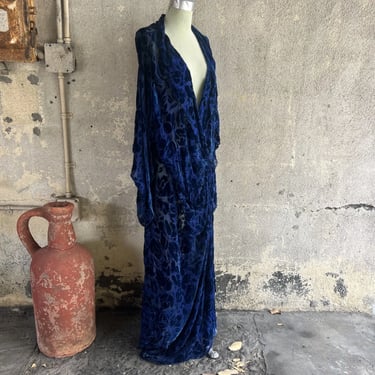 Vintage 1930s Volup Blue Devore Burn Out Silk Velvet Dress Roses Maxi Sheer NRA