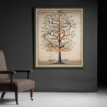 Walnut Bobbin Chair / Family Tree of Peter von Carnap