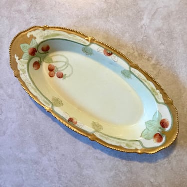 White’s Art Co Studio Chicago Stunning Antique Hand Painted with Gold Gilt & Ornate Painted Detailed Porcelain Oval Bowl 