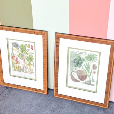 Pair of Colorful Fruit Framed Prints