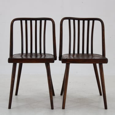 1960s Pair of Antonin Suman Beech Chairs ,Restored 