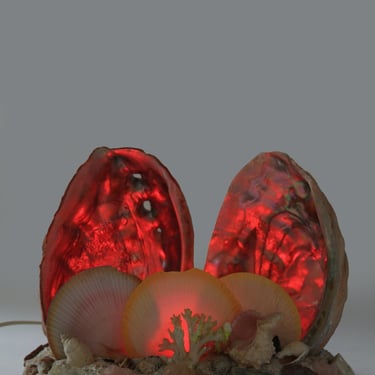 1930s Abalone sea sheall TV lamp light 