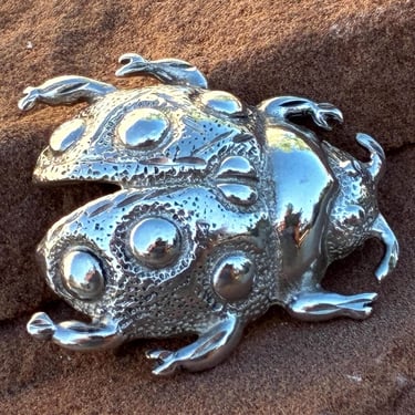 D'Molina ~ Vintage Mexico Sterling Silver Detailed Lady Bug Beetle Insect Pin / Brooch 