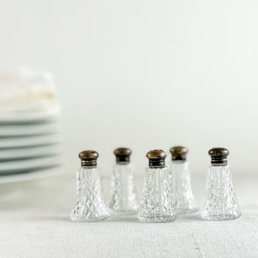Small Cut Glass Salt & Pepper Shakers with Silverplate Caps, Elegant Party Tableware for Showers and Weddings 