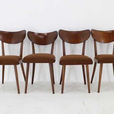 1950s Dining Beech Chairs in Boucle, Czechoslovakia / Mid-century / brown Colour / Vintage Chair / 