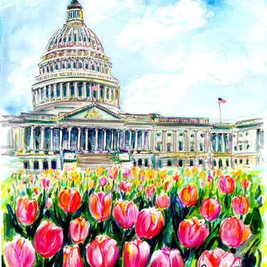 Tulips at the Capitol Gicleé Print by Cris Clapp Logan Washington D.C. 