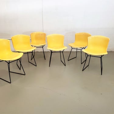 Mid Century Set of Six Harry Bertoia for Knoll Fiberglass Shell Chairs 