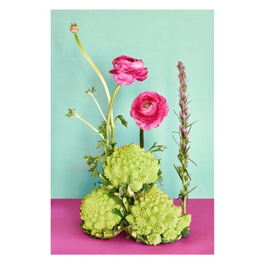 Still Life With Ranunculus & Romanesco broccoli: Archival Pigment Print, Original Art, Whimsical Botanical Print, Decorative Still Life 