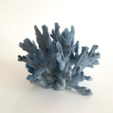 Natural Coral Specimen -  Canada