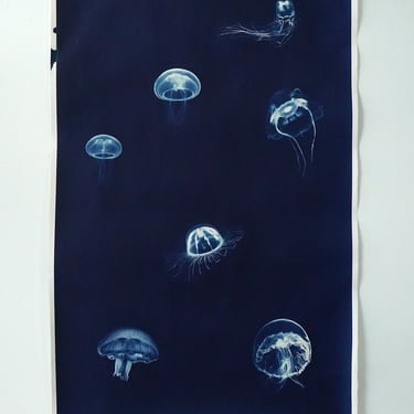 Large Minimal Jellyfish Cyanotype on Heavy Water Color Paper