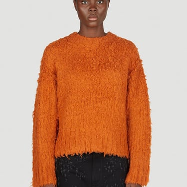 Acne Studios Women Fluffy Sweater