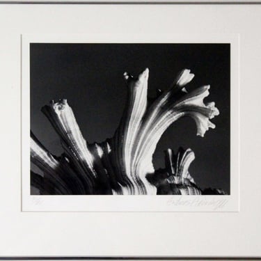 A. Feininger Watering Pot 1950 Signed Portfolio of Shells Gelatin Silver Print 