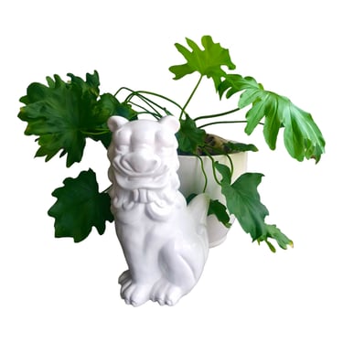 13” Vintage White Porcelain Foo Dog Statue 