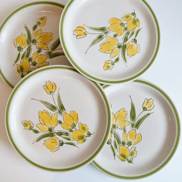 Set of 4 Stonybrook Stoneware of Japan Dinner Plates