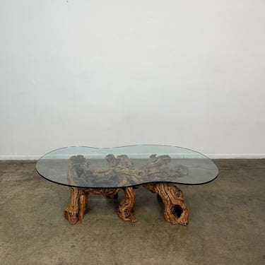 Mid-Century Modern Burled Driftwood Coffee Table with Amorphic Glass Top 