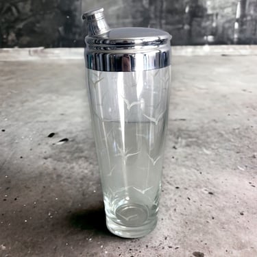 Vintage Mid Century Modern Cocktail Shaker Etched Glass Seagull Richard Bach 
