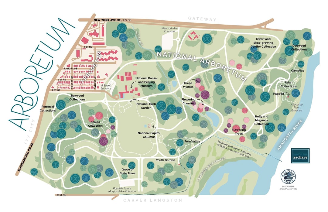 Arboretum DC neighborhood map print 11x17 Wild Places Prints Washington, DC