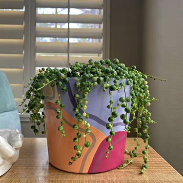 Planter Pot | Hai Vibe Design | 6.5” small pot 