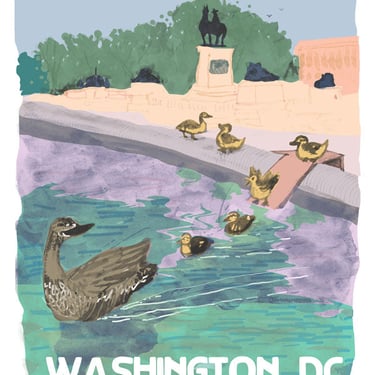 Ducklings at the Capitol Reflective Pool [#70]