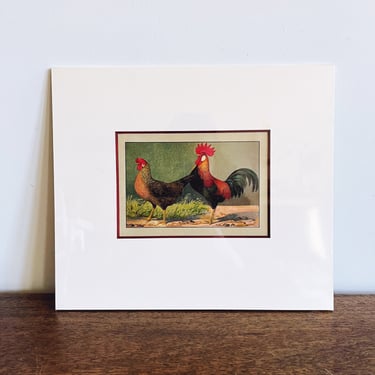 Original Antique Chromolithograph Rooster and Hen Print - Matted 