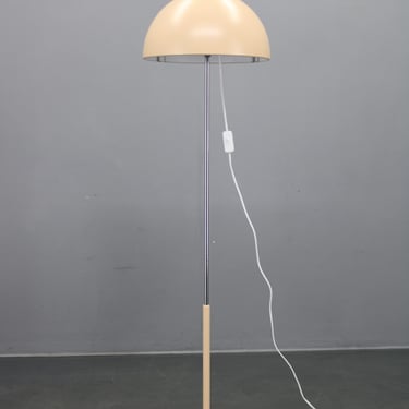 Vintage Mushroom Floor Lamp by Napako, Czechoslovakia 1970, Adjustable Metal Shade, Professionally Lacquered, Restored 